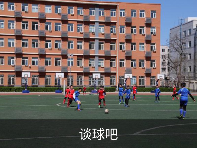 谈球吧简介